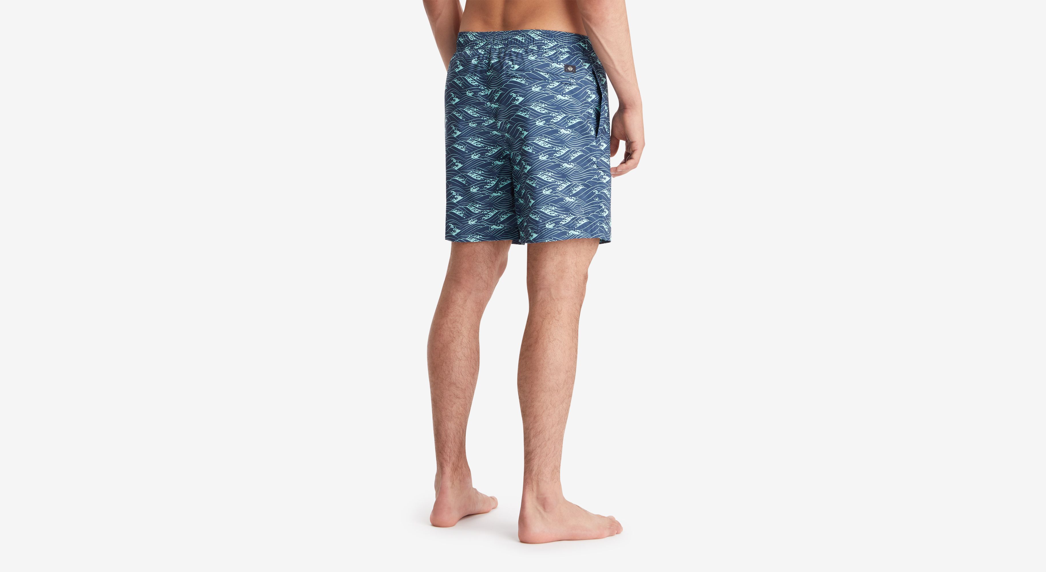 Harbor Swim Short