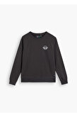 Icon Crewneck Sweatshirt