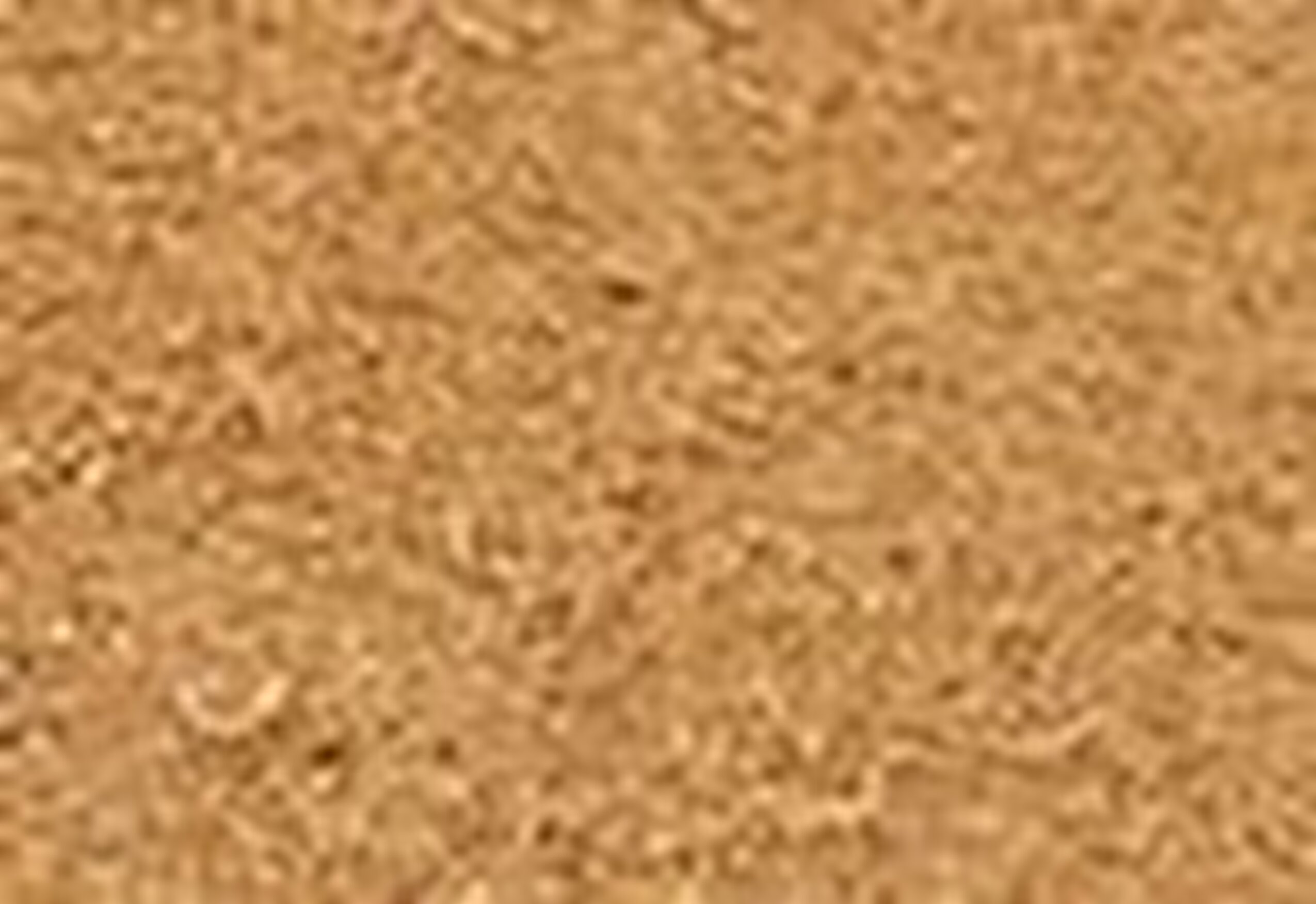 Suede Kemer